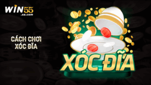 Cách chơi xóc đĩa