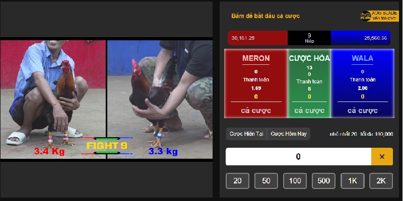 Đá gà cựa sắt/ cựa dao là hình thức cá cược chiến kê hấp dẫn