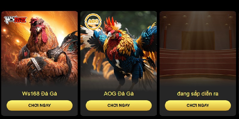 Đá gà WIN55 hội tụ nhiều ưu điểm nổi bật